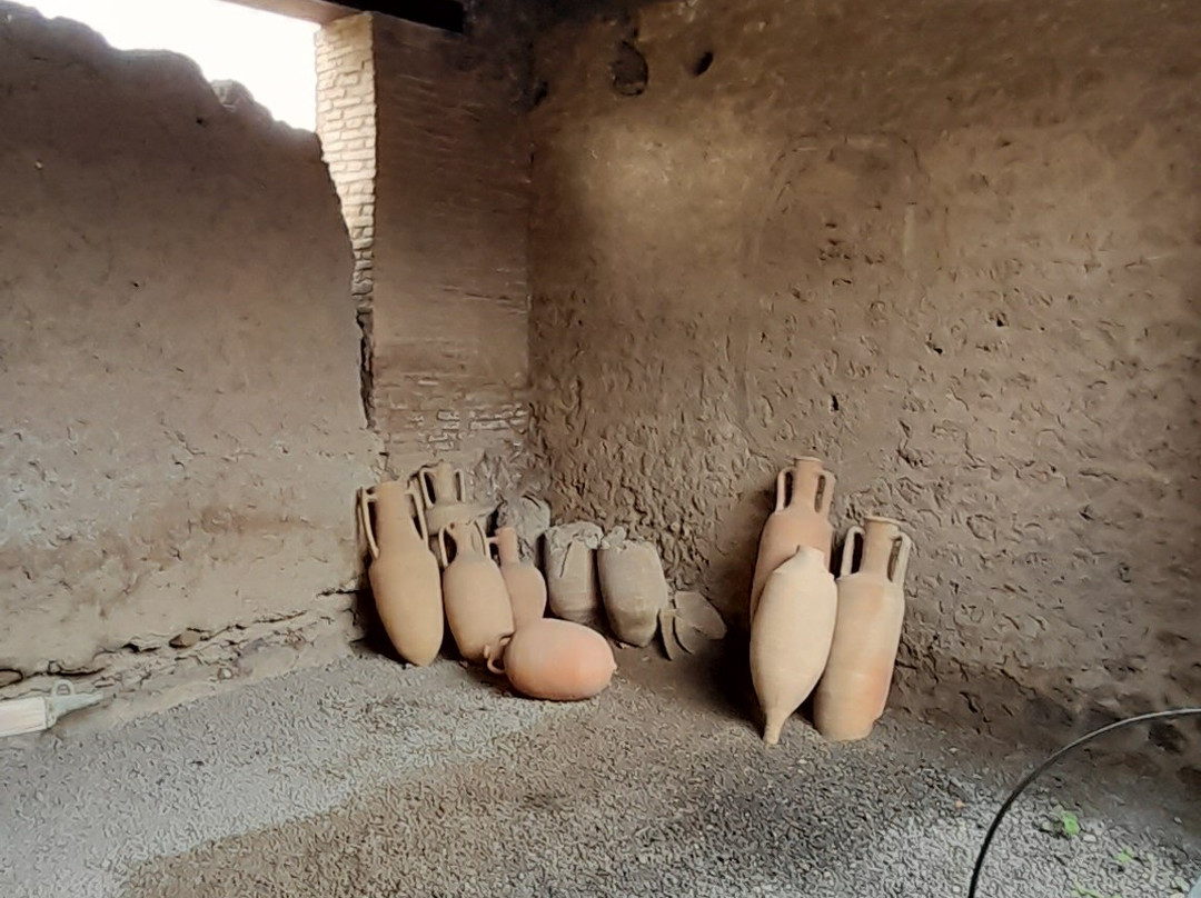 Napoli e dintorni - Archaeological tour guide-庞贝必去景点