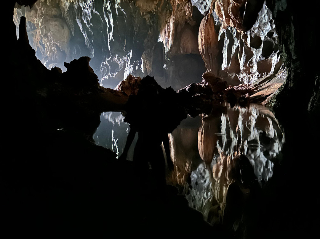 Phong Nha Tour To The Caves景点图片