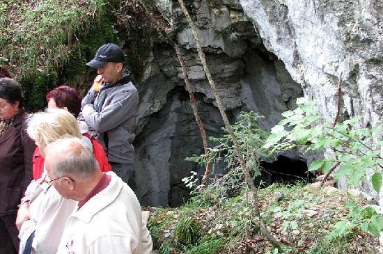 Fidov gaj (Fida's grove)-Solcava必去景点
