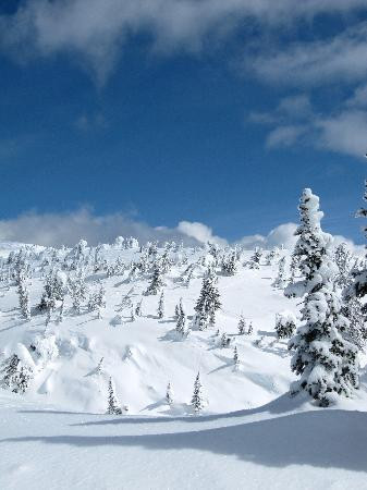 Big White Ski Resort-Big White必去景点