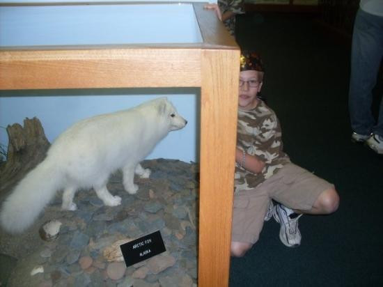 Aquatic Resource Center-Put in Bay必去景点