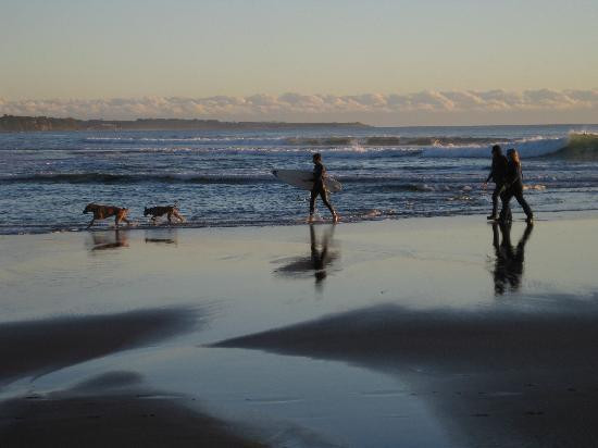 Back Beach-新普利默斯必去景点