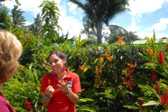 Doka Estate Coffee Tour-Poas Volcano National Park必去景点