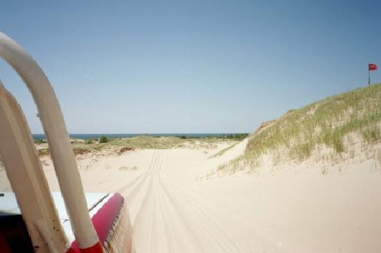 Mac Wood's Dune Rides-Mears必去景点