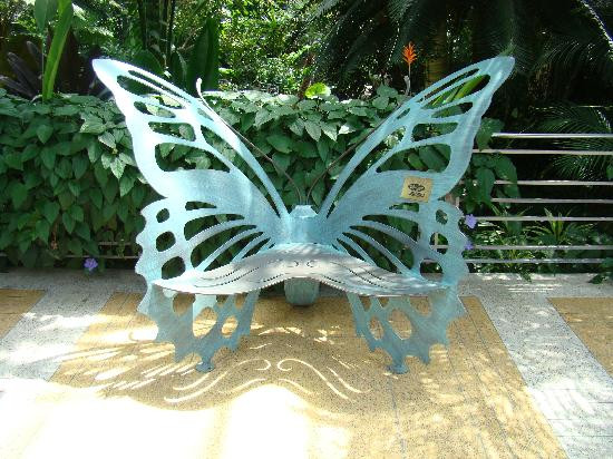 Krohn Conservatory-辛辛那提必去景点