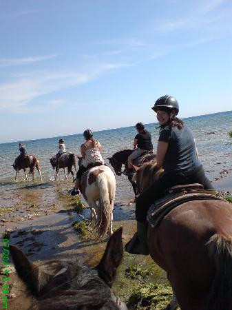 HorsePlay Niagara-科尔本港必去景点