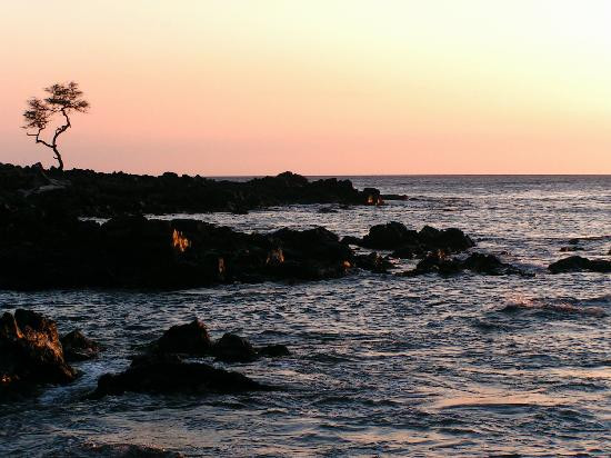 玛胡科纳海滨-卡慕也拉必去景点