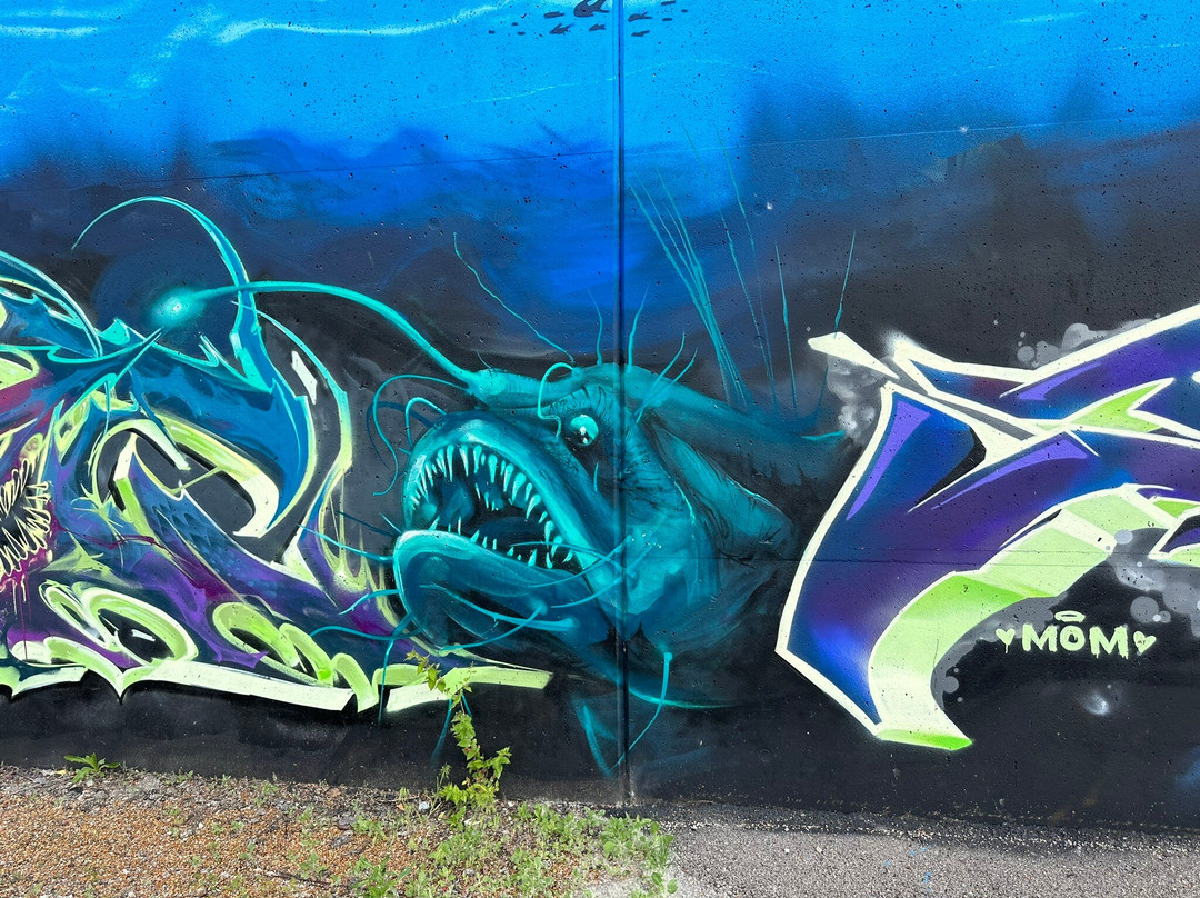 St. Louis Graffiti Wall景点图片