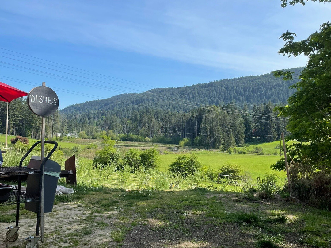 Salt Spring Wild Cider-盐泉岛必去景点