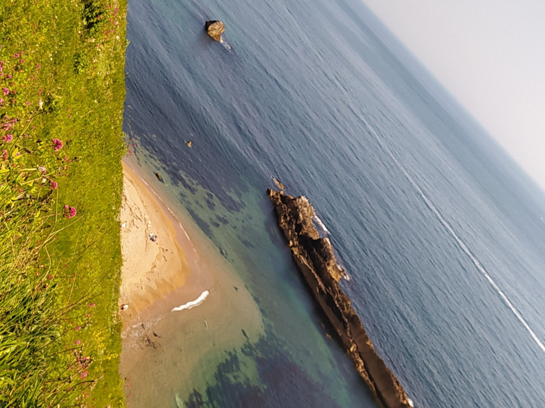 Durdle Door & White Nothe Circular Walk-西拉尔沃思必去景点