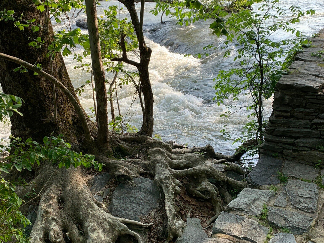 Shenandoah River Outfitters景点图片