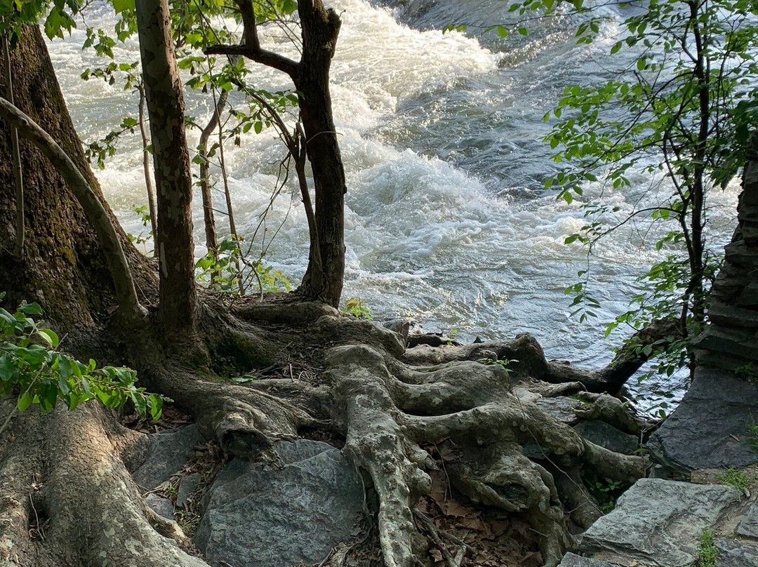 Shenandoah River Outfitters景点图片