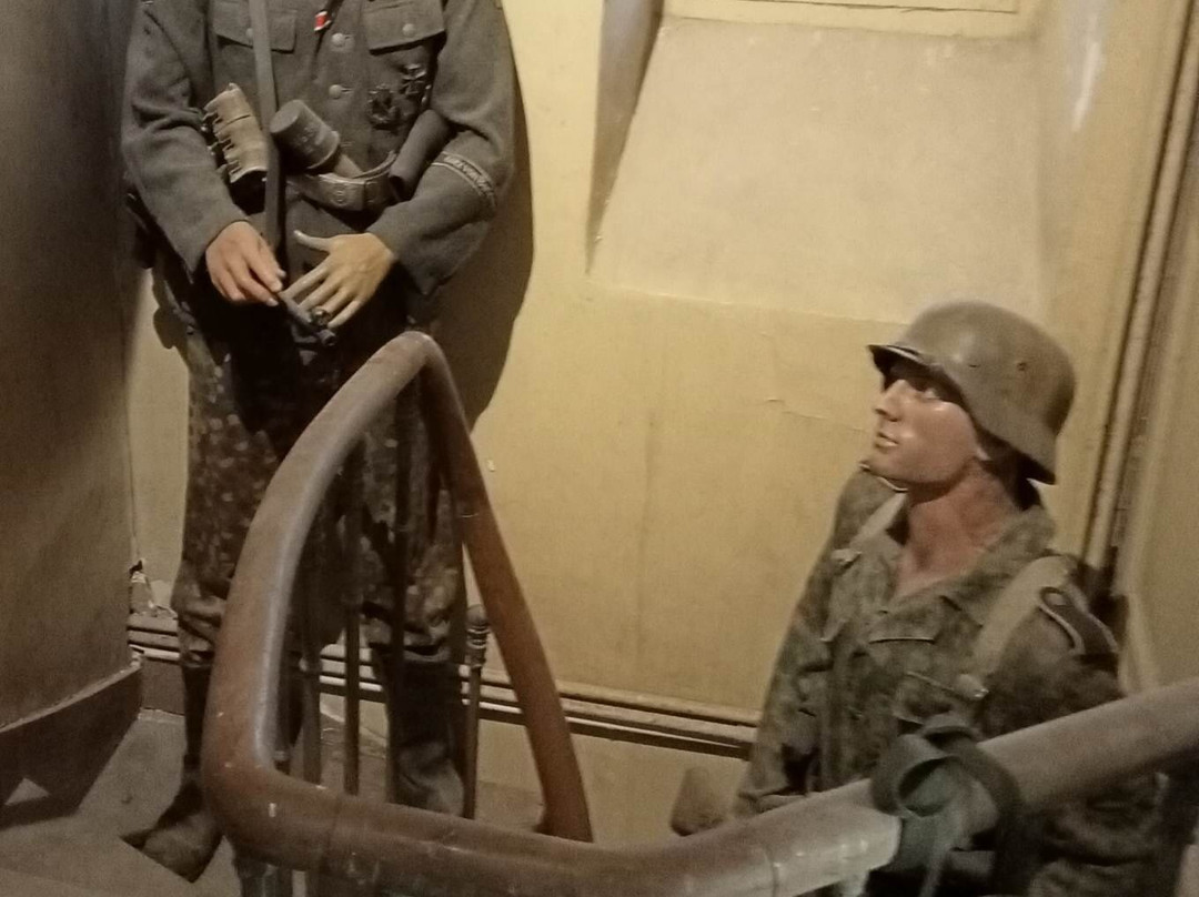 D Day Collins Museum景点图片