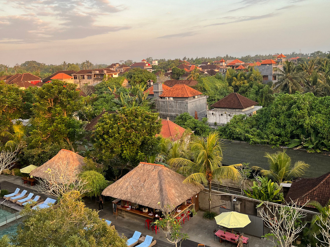 Element Bali Ubud主图