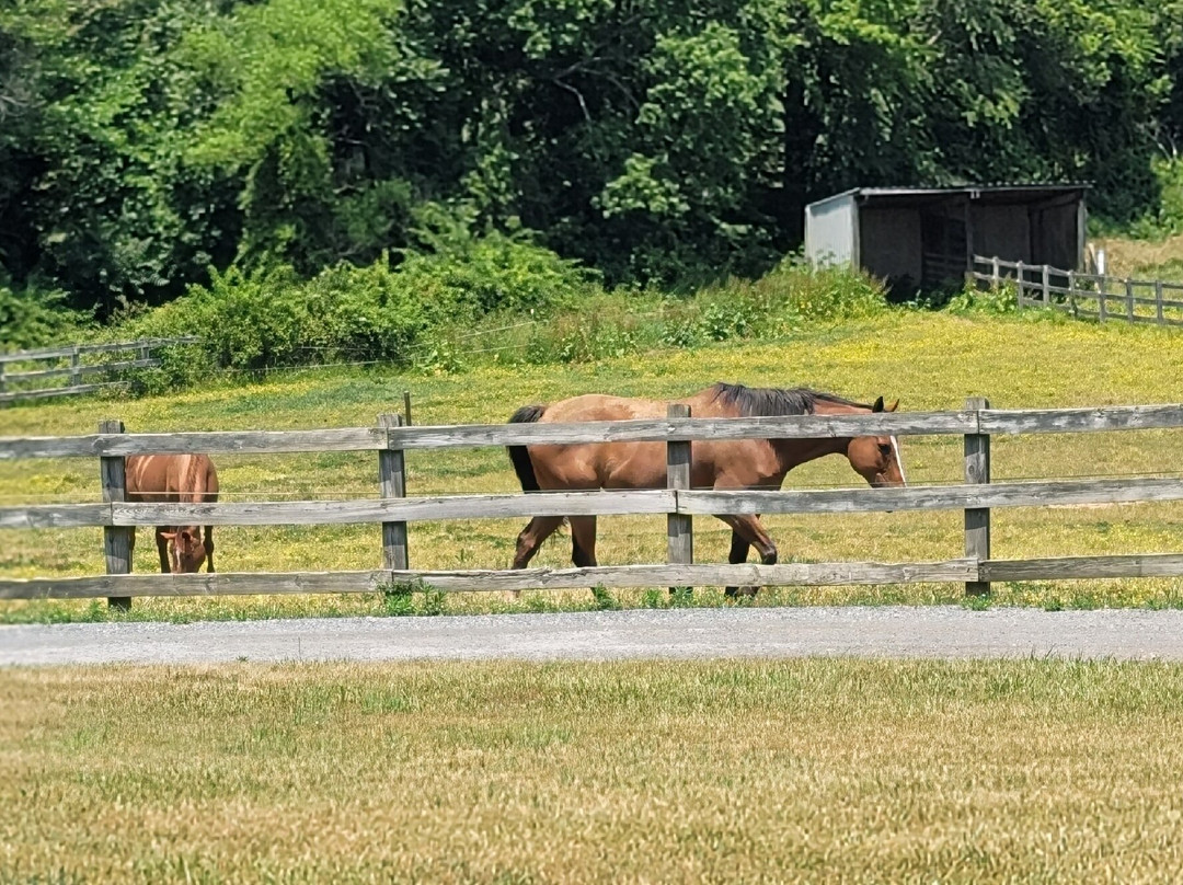 Keep Stables LLC at Chapel View Farm景点图片