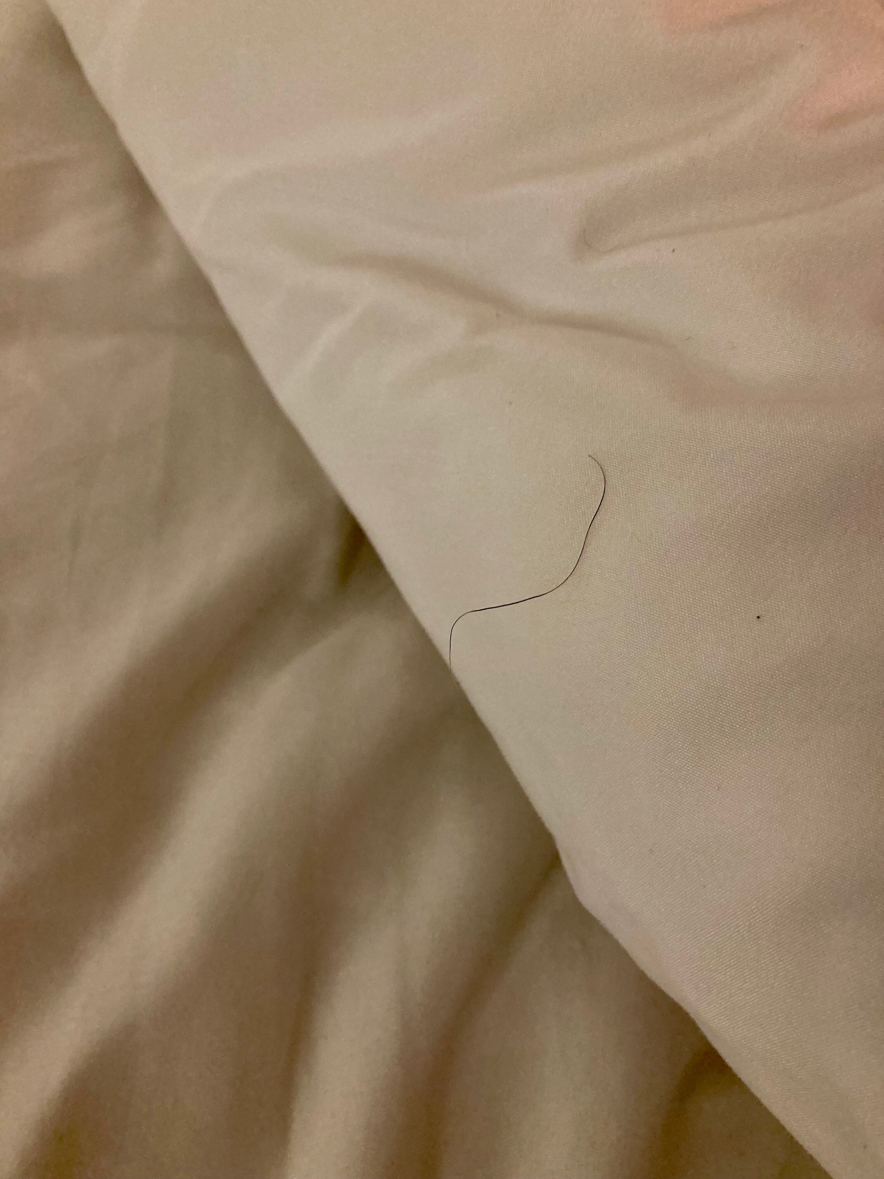 Comfort Inn & Suites Rock Springs-客卧