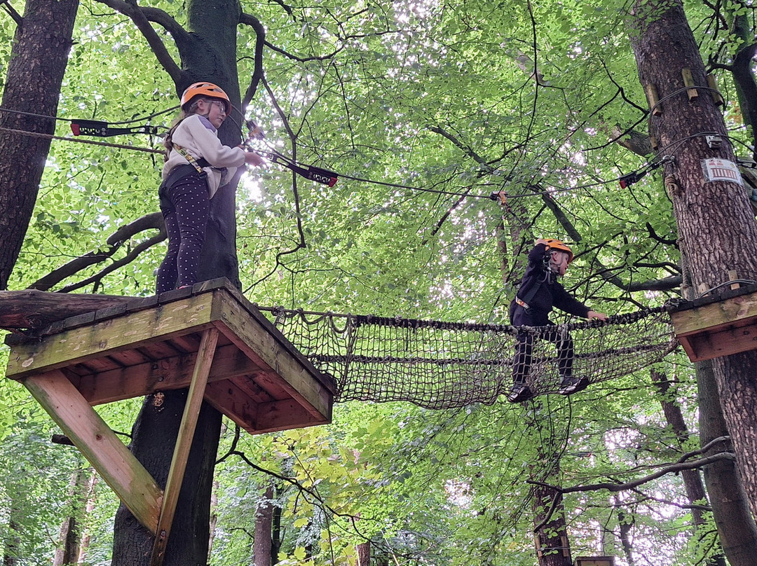 Craufurdland Tree Top Trials and Activities景点图片