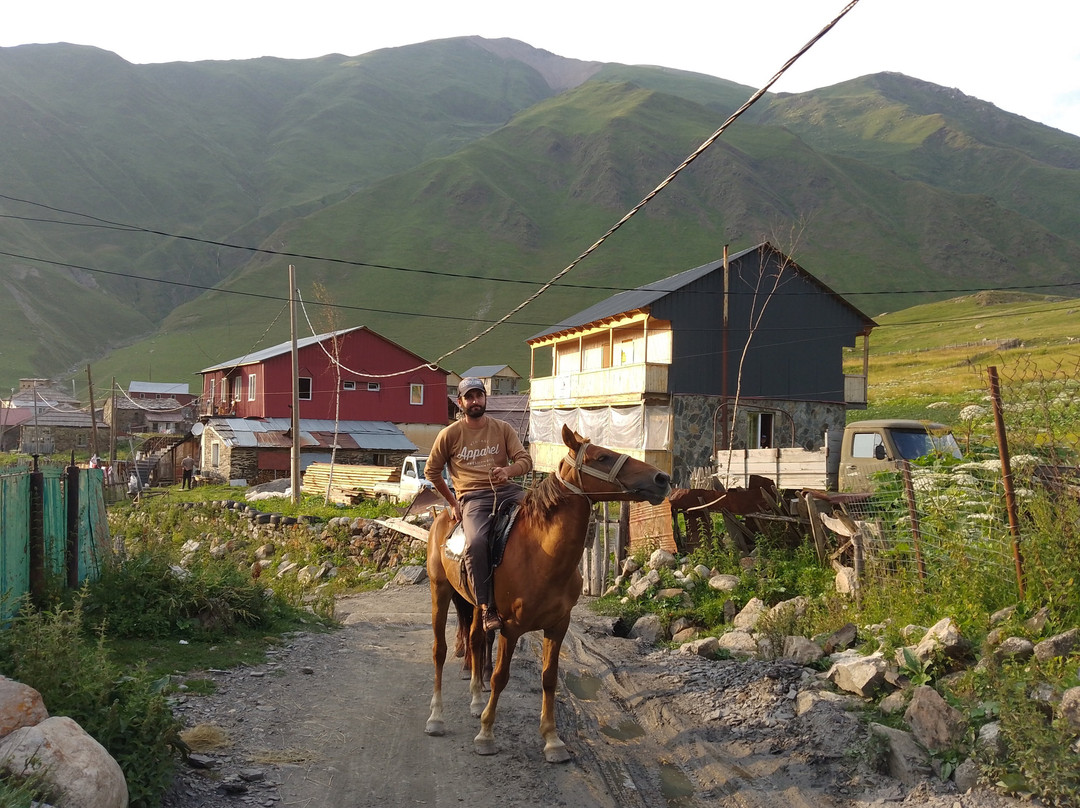 Horse rentals and tours in Ushguli景点图片