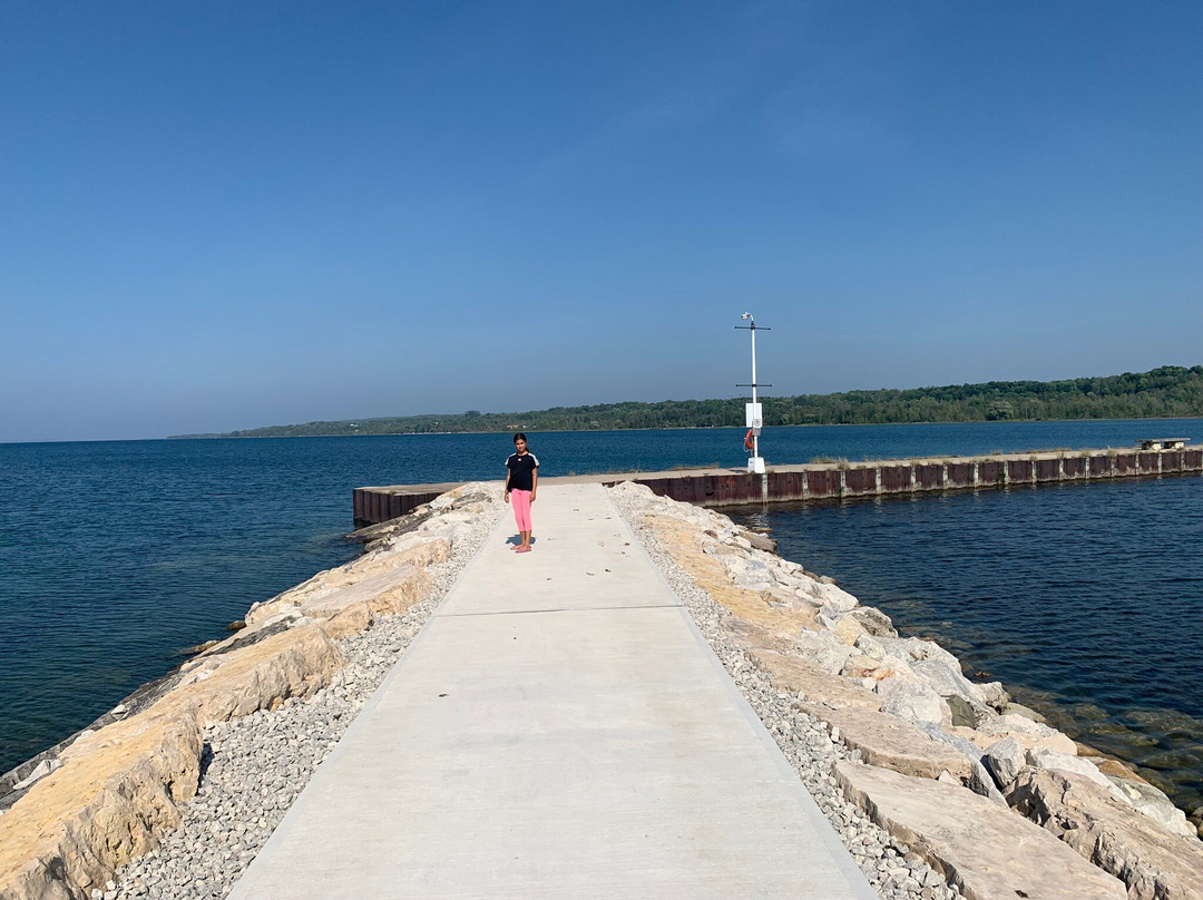 Wiarton Willie Statue景点图片