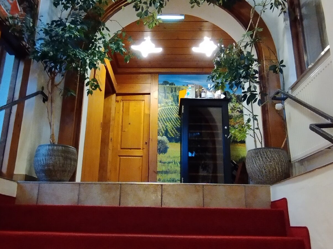 Parkhotel Sonnenhof主图