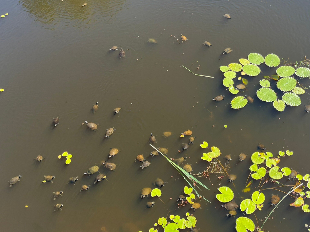 TYTO Wetlands-Ingham必去景点