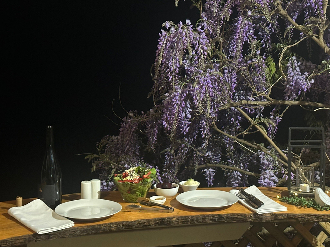 Copeland House主图