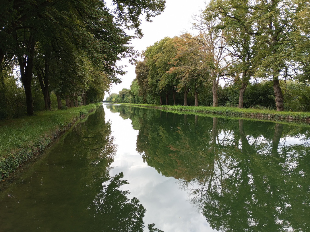 Le Boat - Boofzheim-Boofzheim必去景点