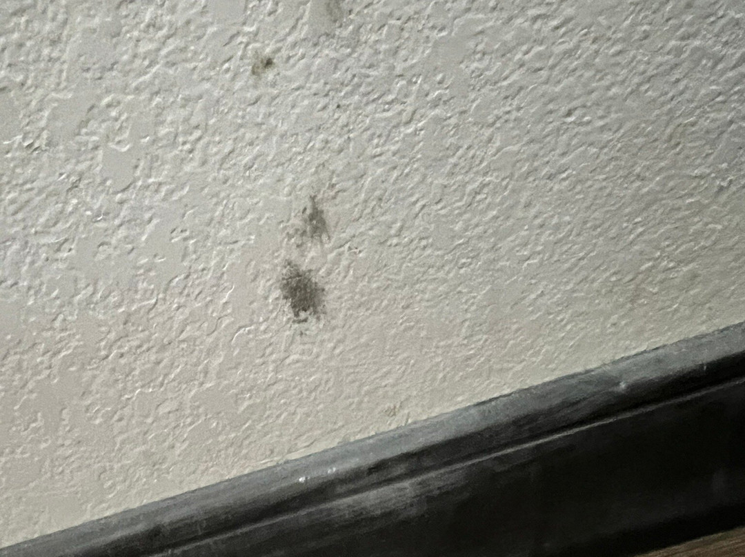 格雷普文/DFW机场速8酒店主图