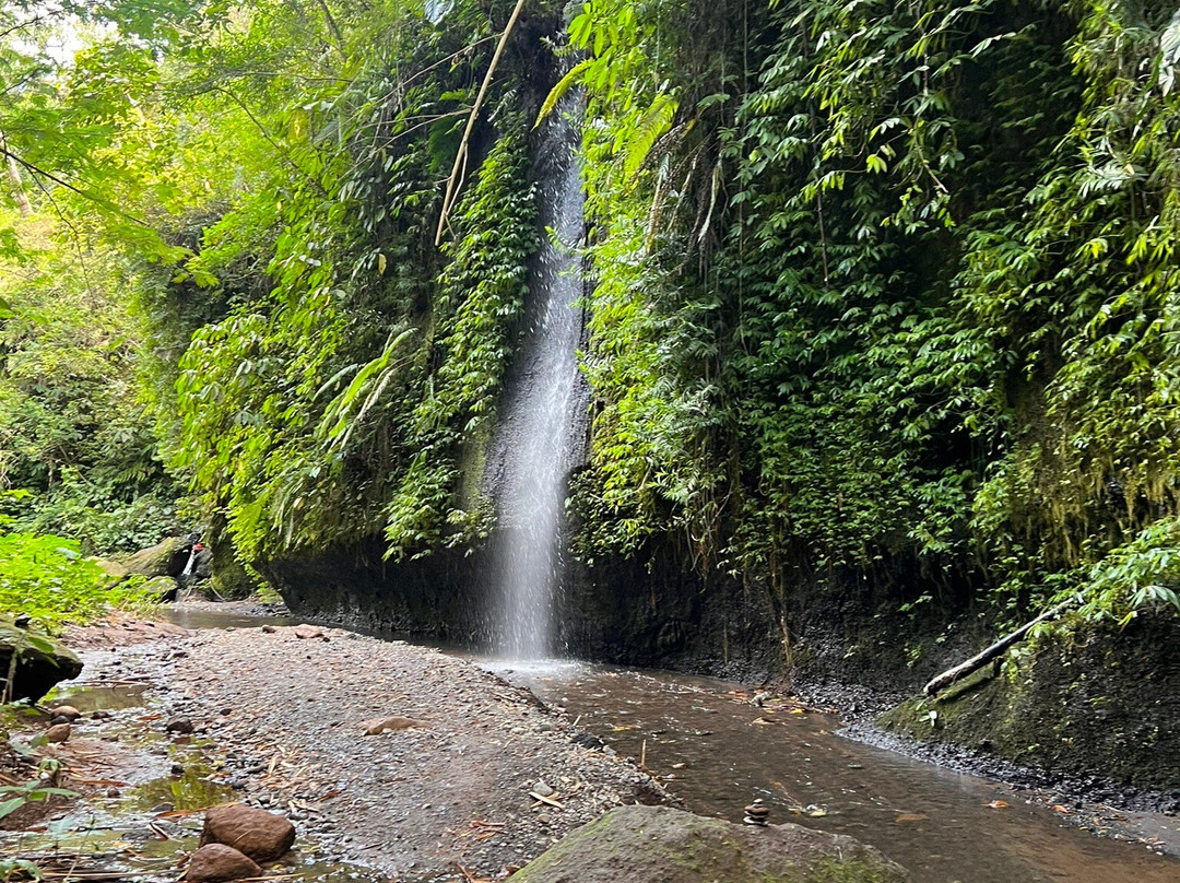 Bali Fascination Tour景点图片