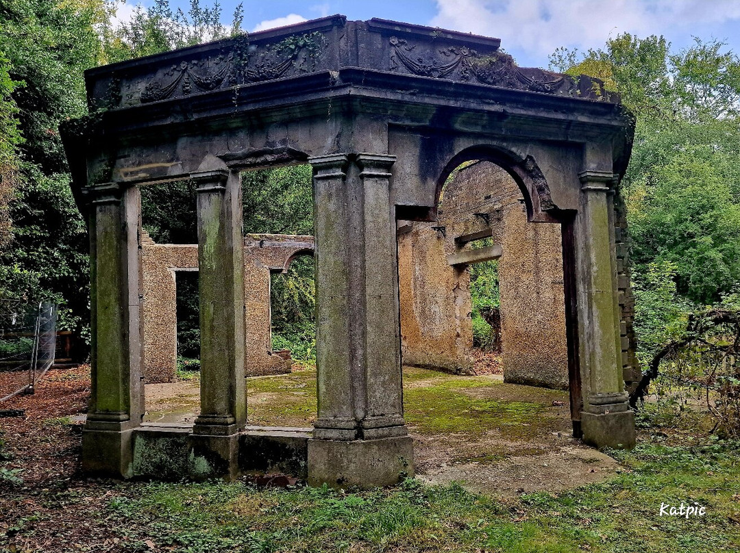 Warley Place Nature Reserve景点图片