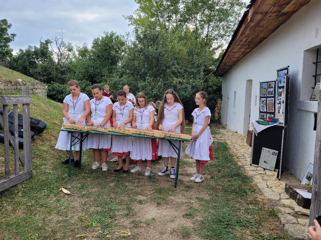 Hungarian Open Air Museum (Szabadtéri Néprajzi Múzeum)景点图片