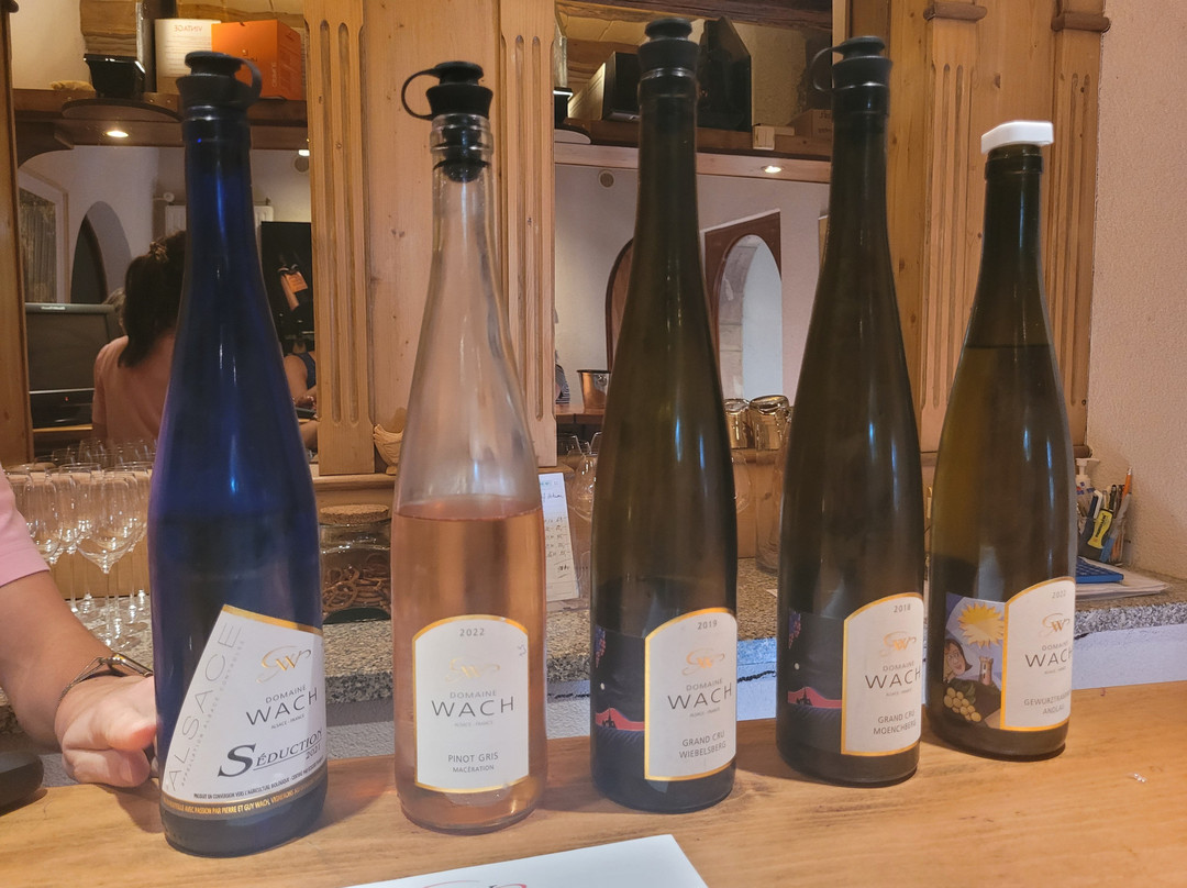 Domaine Wach景点图片