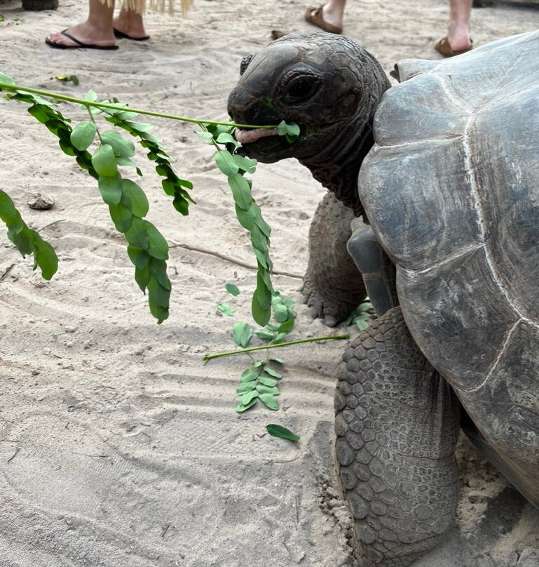 康斯丹艾菲莉亚度假村主图