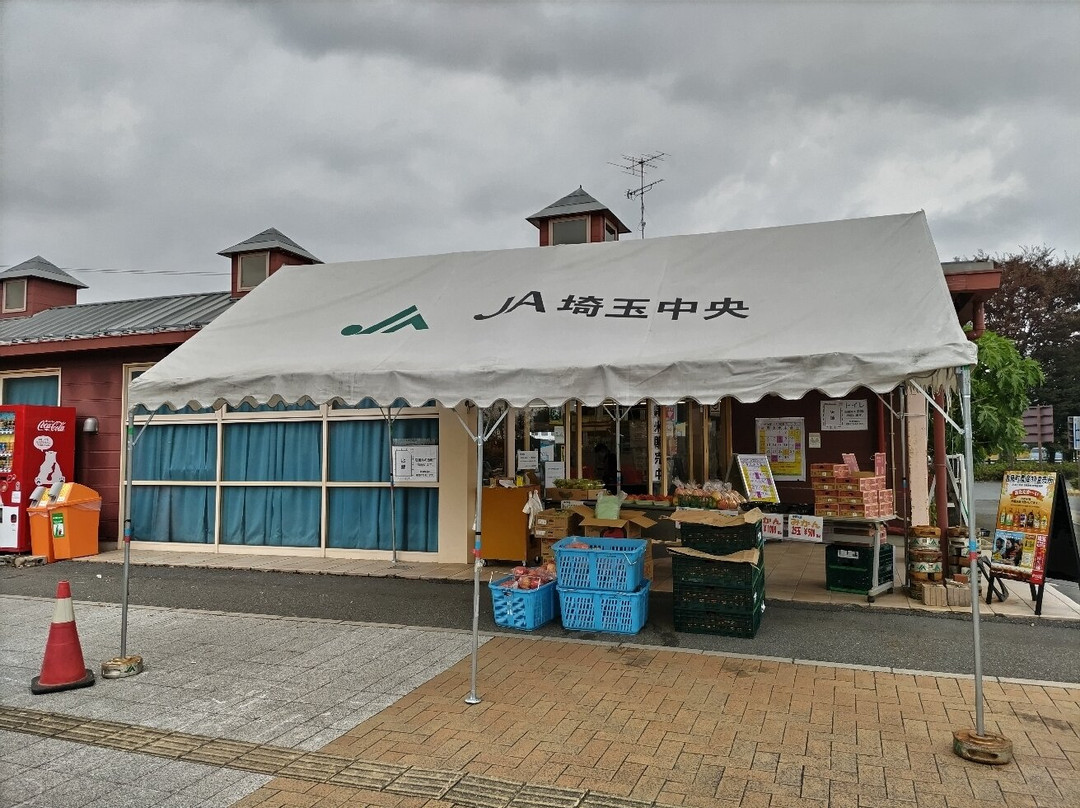 Michi-no-Eki Ichigo no Sato Yoshimi-吉见町必去景点