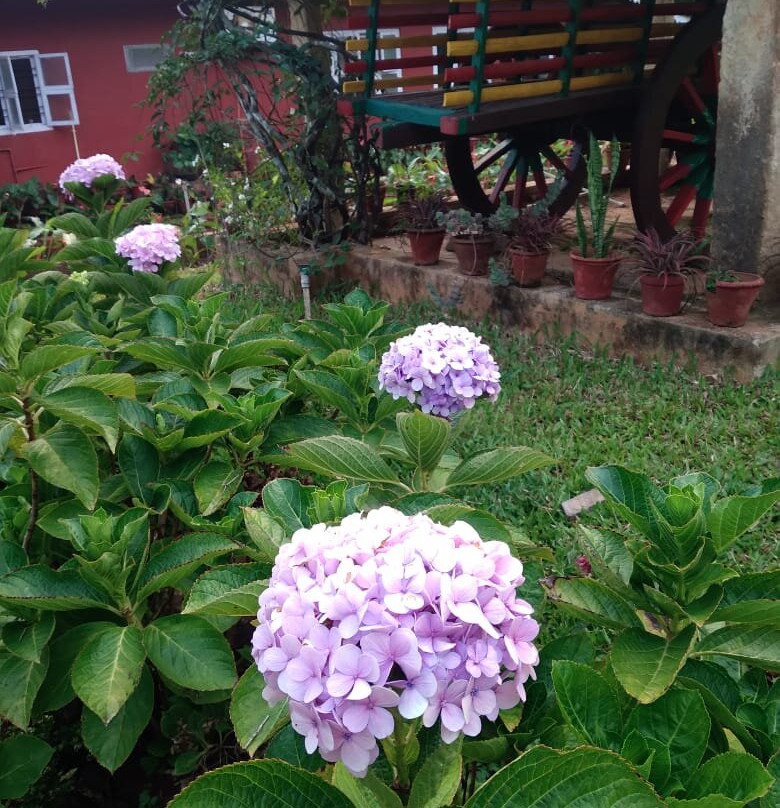 Devangi Atithya Home Stay主图