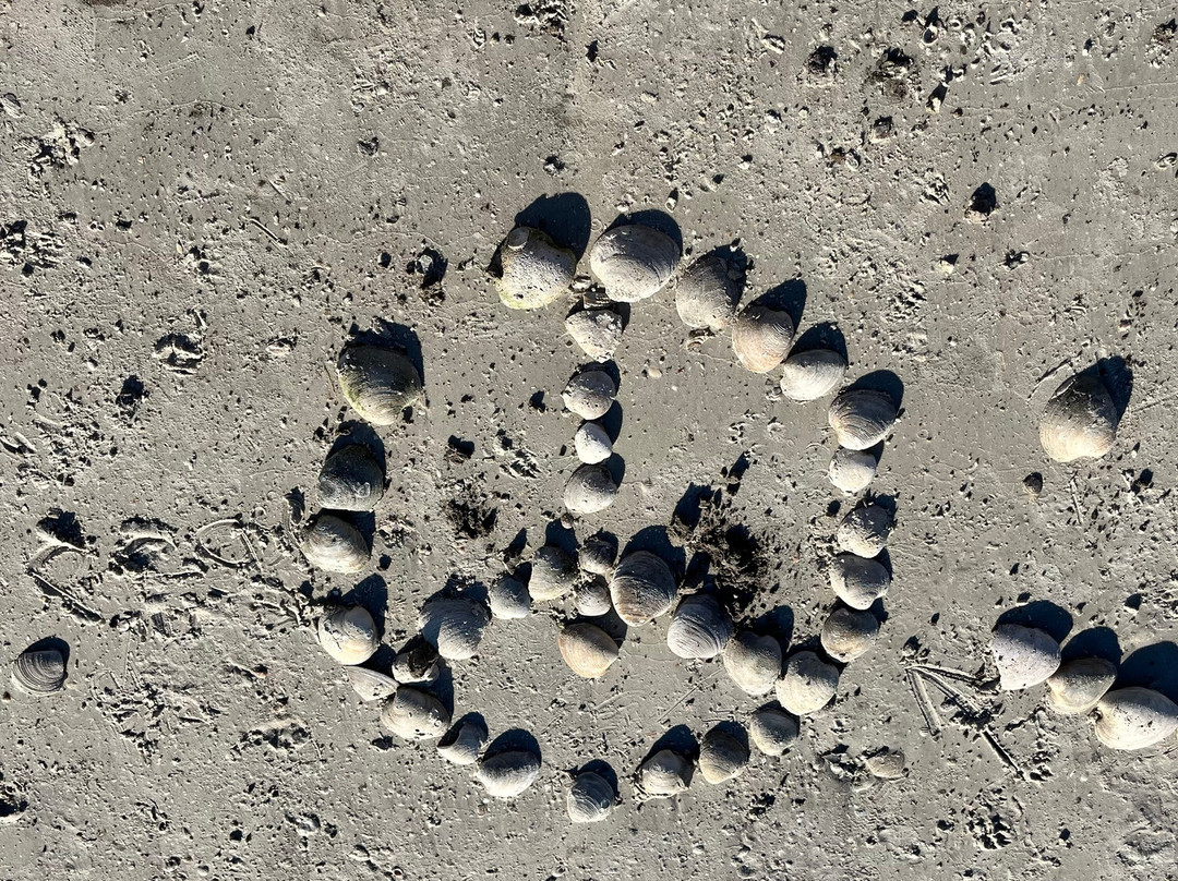 Great Day Boat Tours Llc-威尼斯必去景点