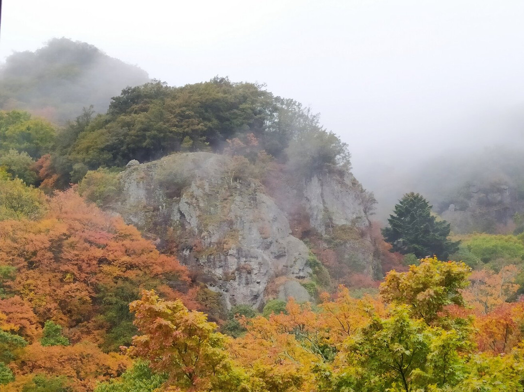 Kankakei Ropeway景点图片