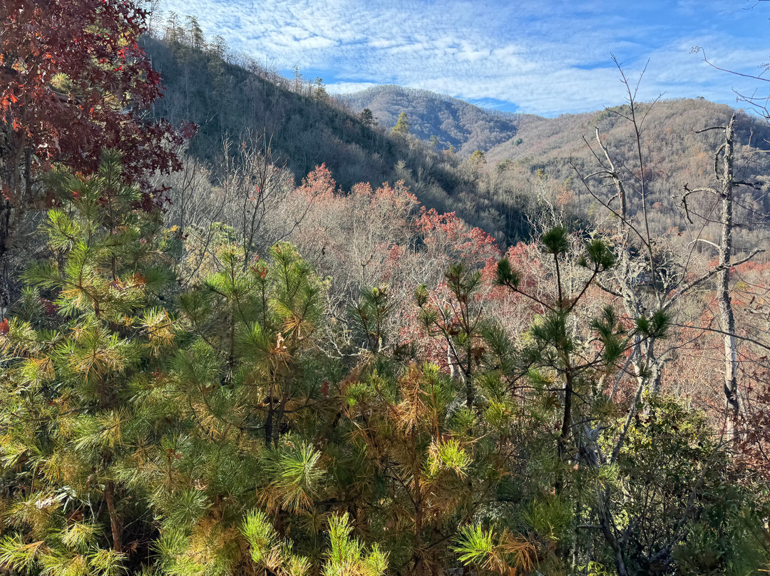 End of the Trail Horseback Riding景点图片
