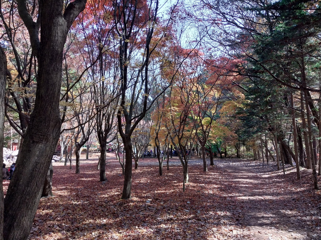 Songnisan National Park-报恩郡必去景点