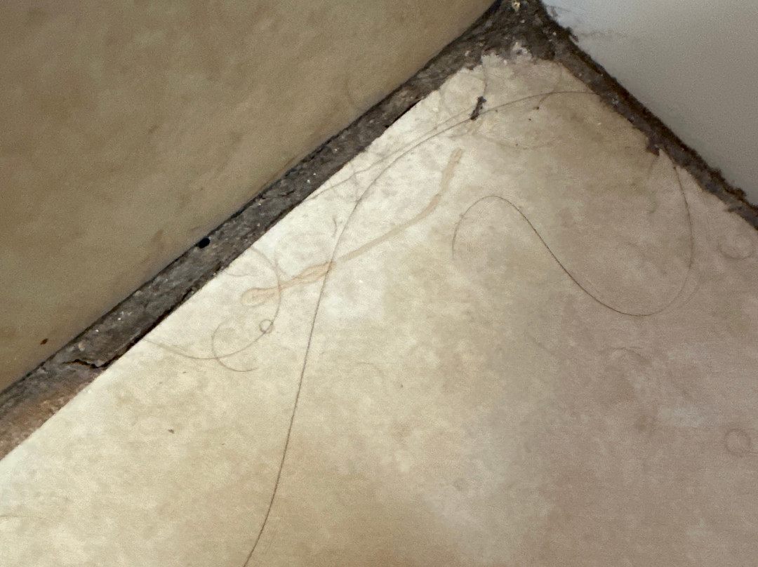 帕里斯快捷假日&套房酒店主图