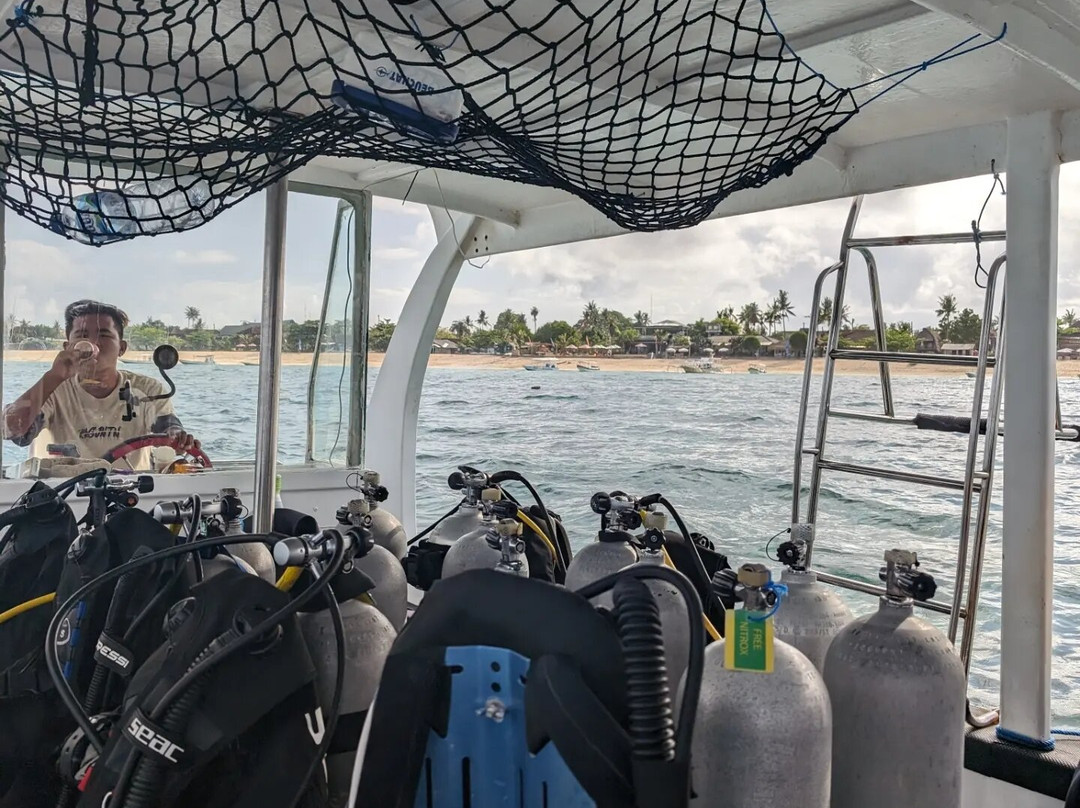 Lembongan Dive Adventures景点图片