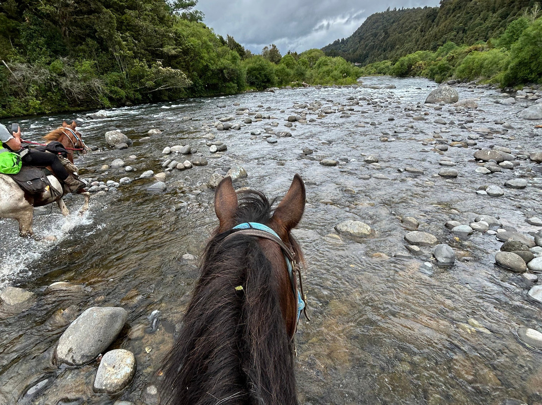 Horsemtrails景点图片