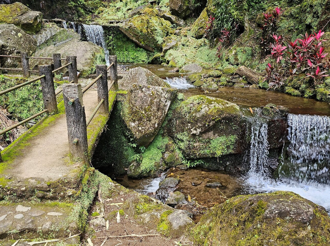 Parang Ijo Waterfalls景点图片