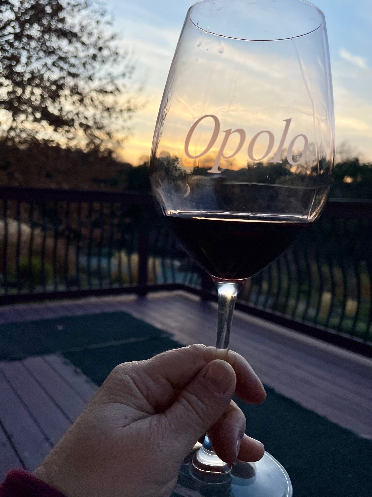 The Inn at Opolo-酒店景观