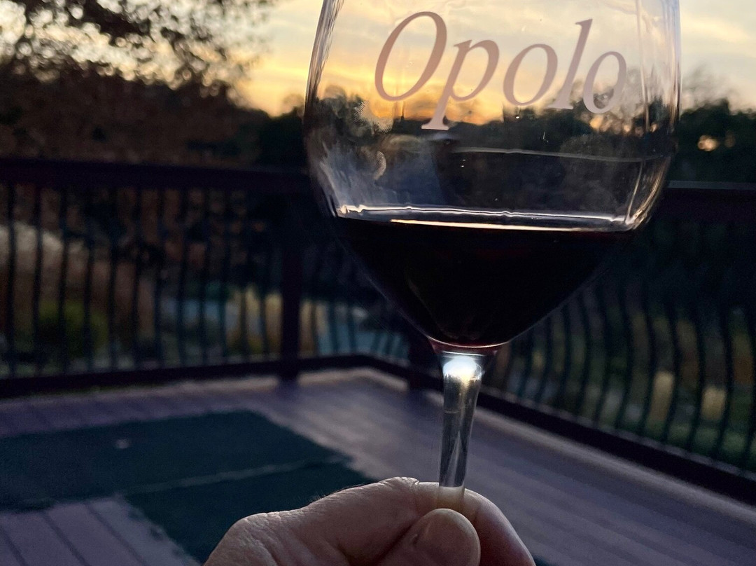 The Inn at Opolo主图