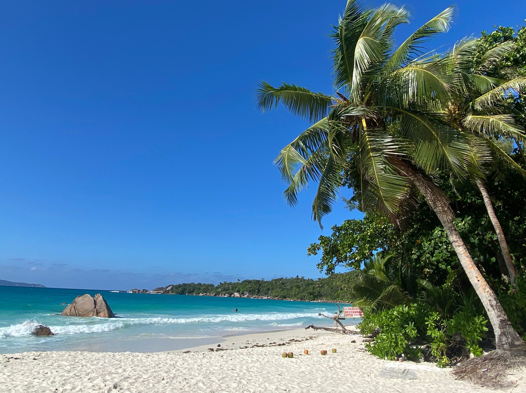 莱富安湾旅馆主图