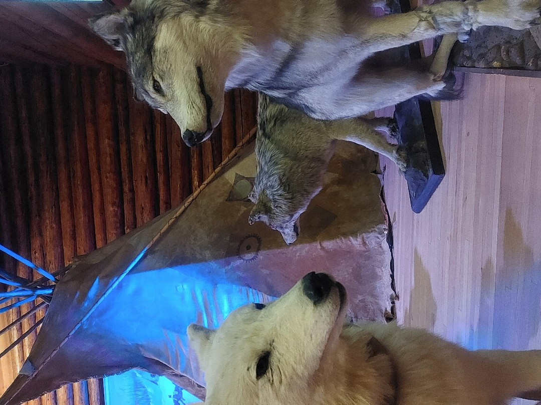 Buffalo Nations Museum-班夫必去景点