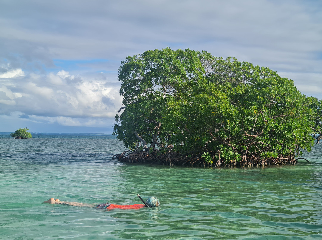 Nico Excursions-Sainte Rose必去景点