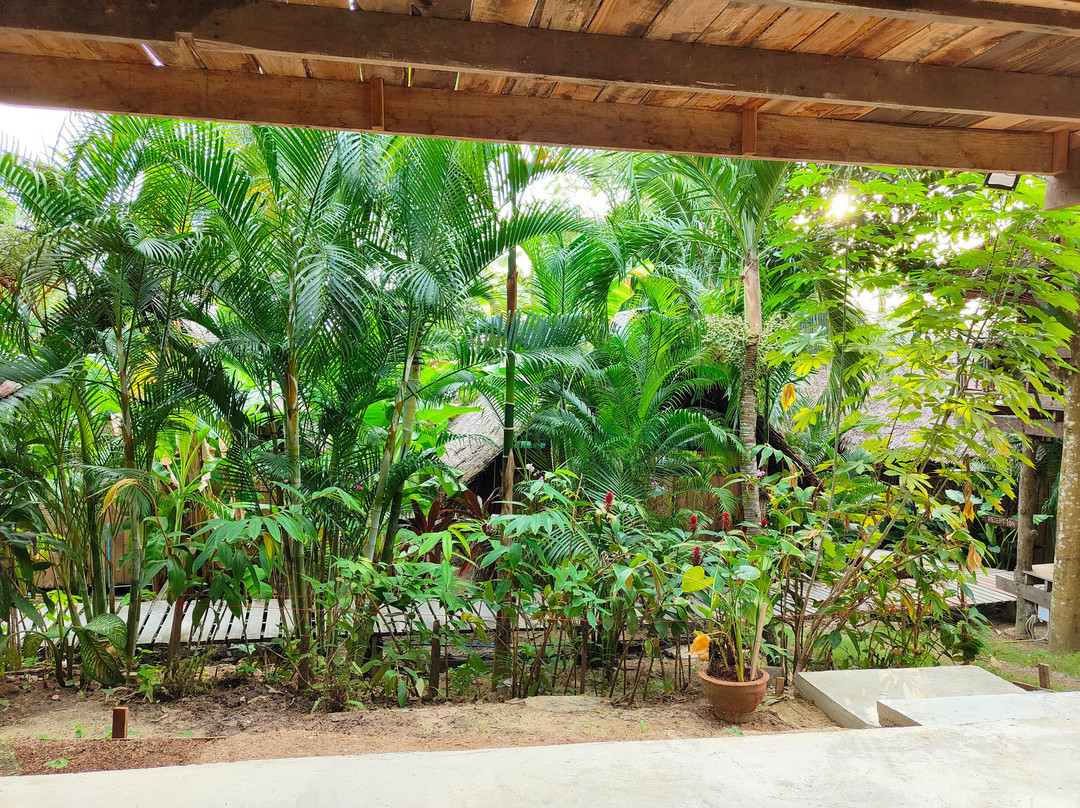 The Tropical Koh Mook主图