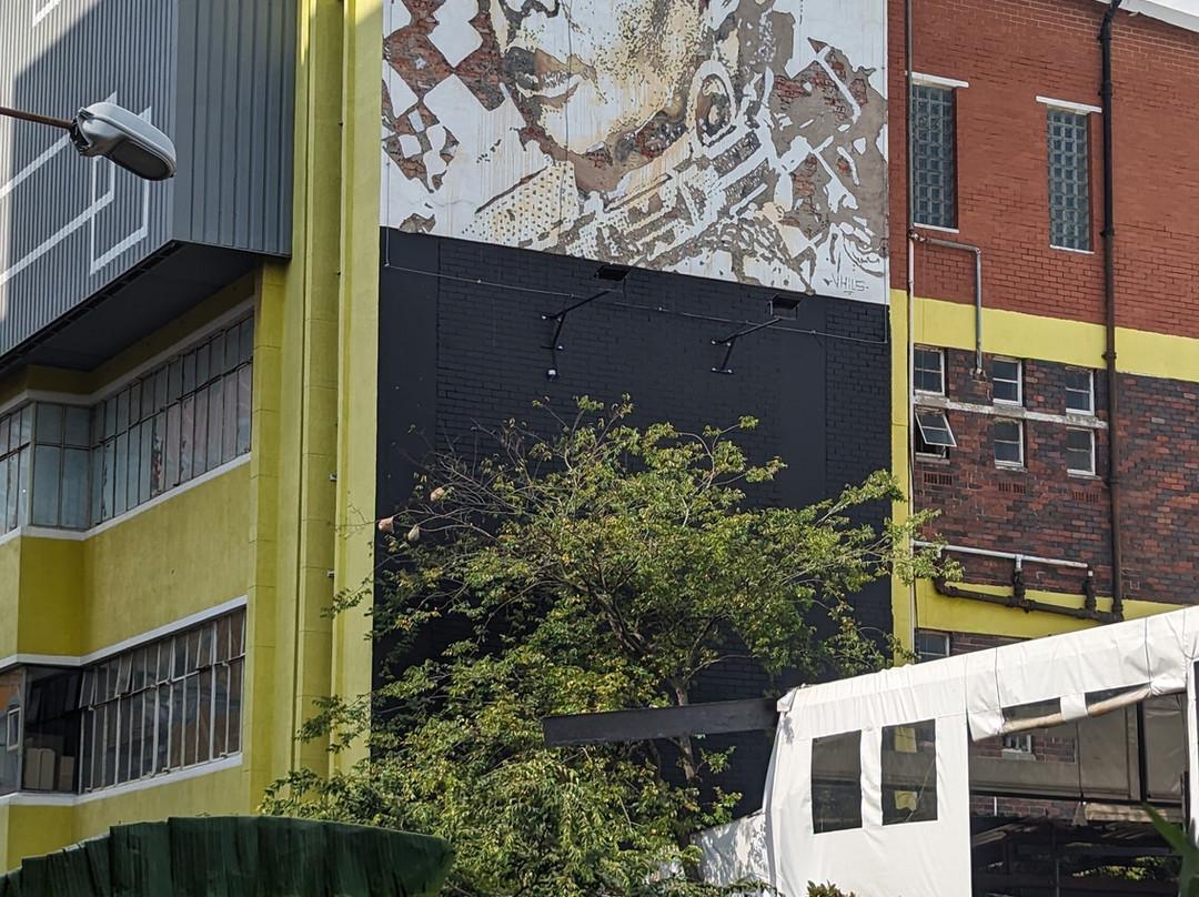 CURIOCITY Joburg Tours景点图片
